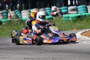 20110501_ales_agnus (3172)